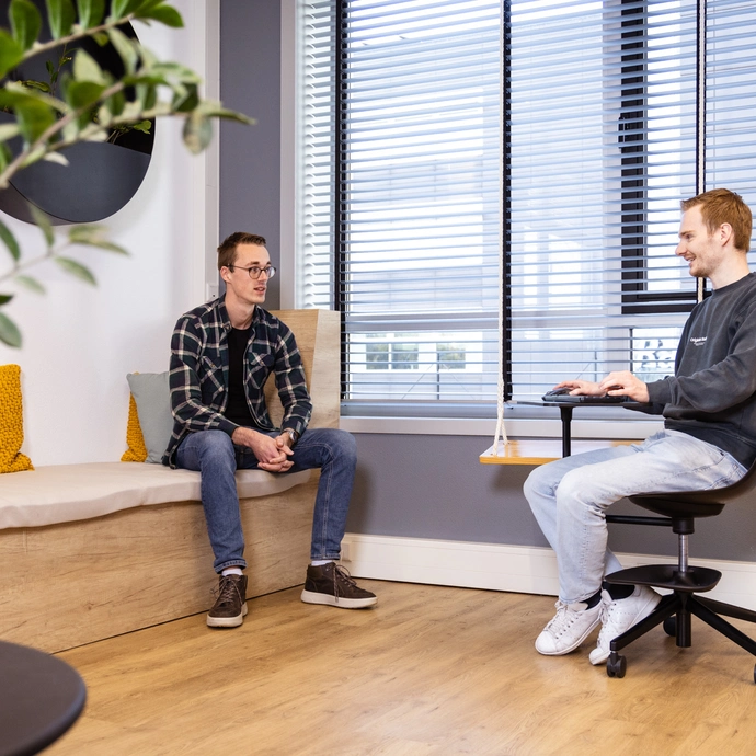Software Tester